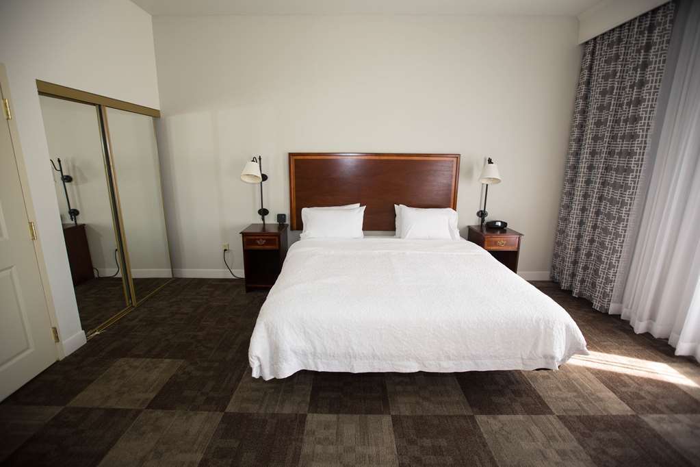 Hampton Inn & Suites Baton Rouge - I-10 East Номер фото